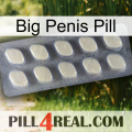 Big Penis Pill 08